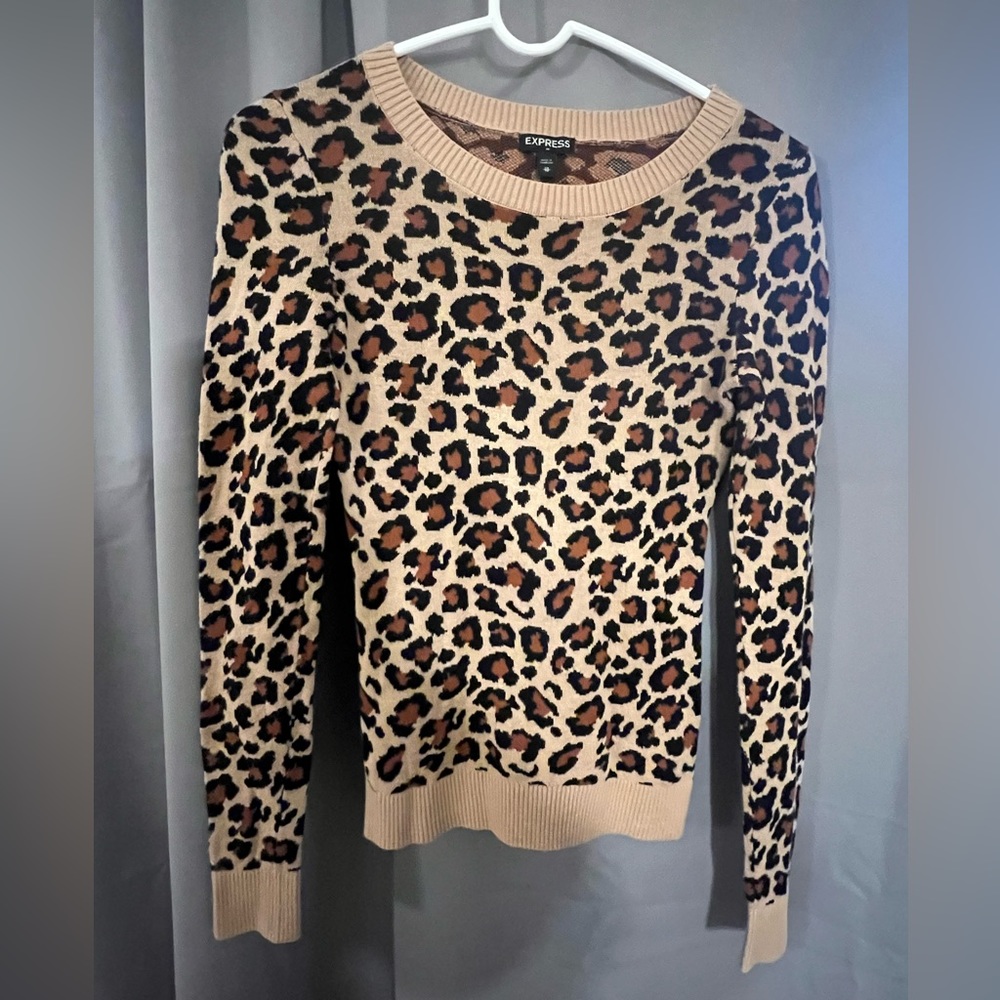 Express sweater